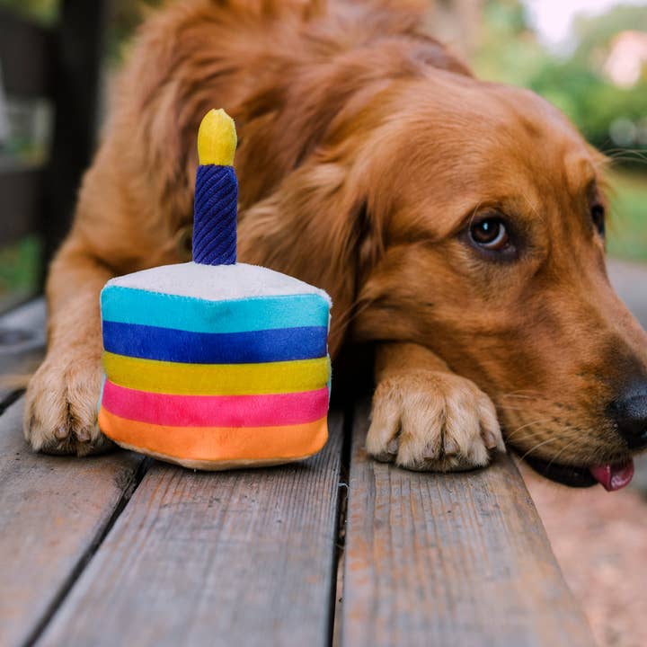 In Vogue Pets – wholesale Pet plush toy – Dog – Party Time Bone-Appetit Cake Plush Dog Toy5