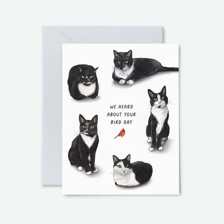 Artful Pixels - Wholesale Birthday Card - Bird Day Tuxedo Cats | Funny Birthday Greeting Cards