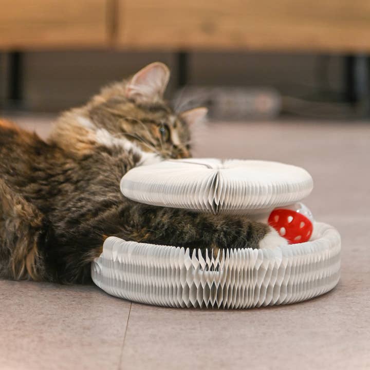 Olchi - Wholesale Pet Toy - Cat - WIGGLEE MAGIC BALL TRACK (CAYA-TO9520)