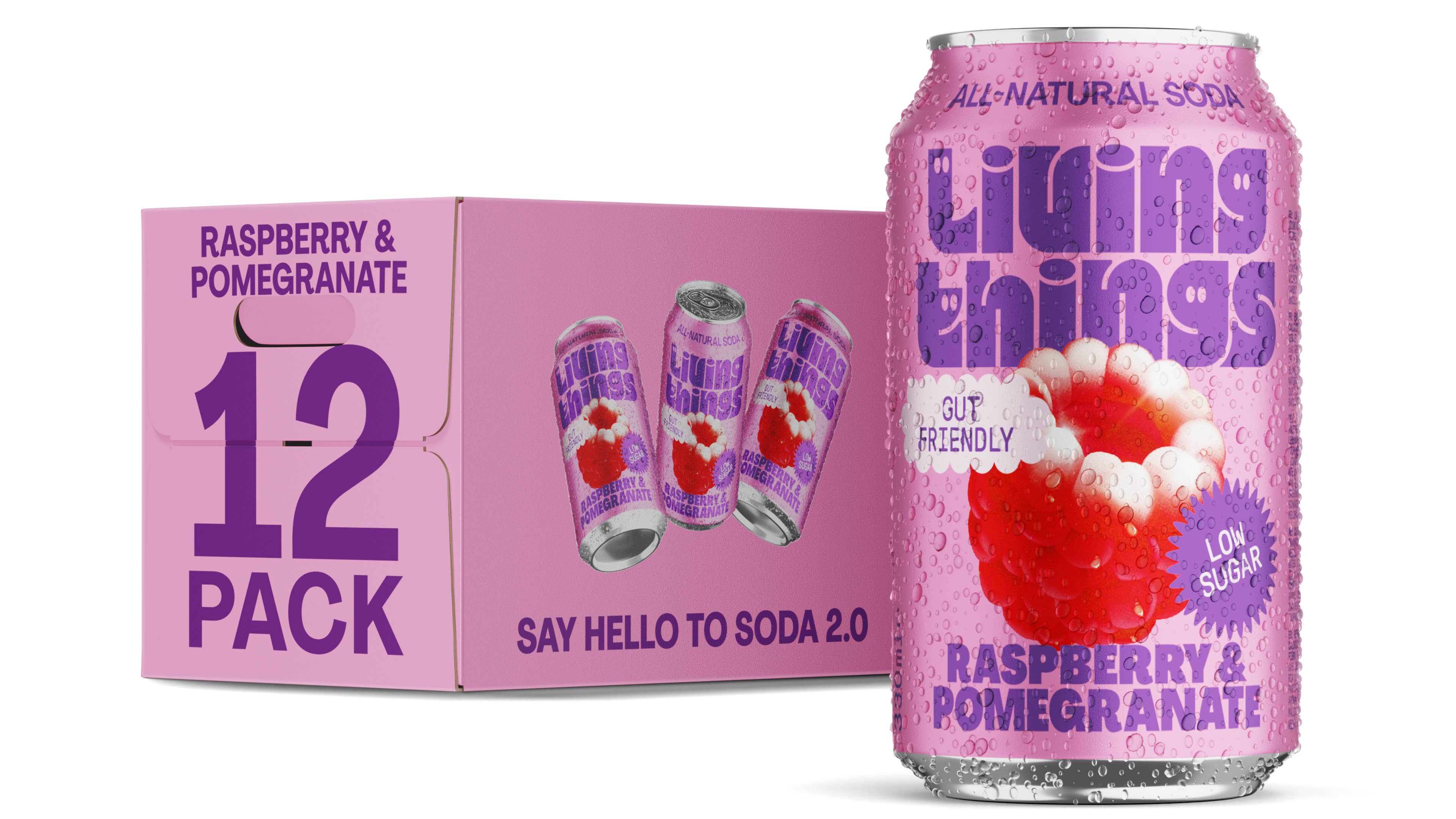 Living Things - Wholesale Soda/Carbonated Drink - Raspberry & Pomegranate Prebiotic Soda - Living Things 1