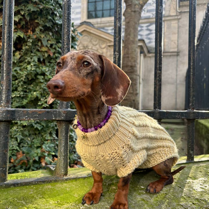 Aura - Vendita all'ingrosso Collare - Cani e gatti - Collana di perle per cane e gatto Veggente1
