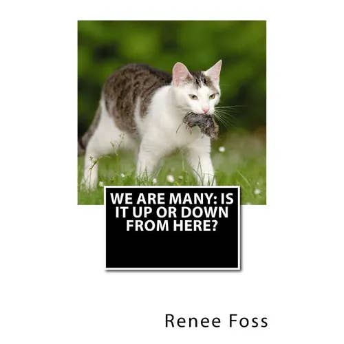 Books by splitShops - Wholesale Humor - We Are Many: Is It Up or Down from Here? - Paperback