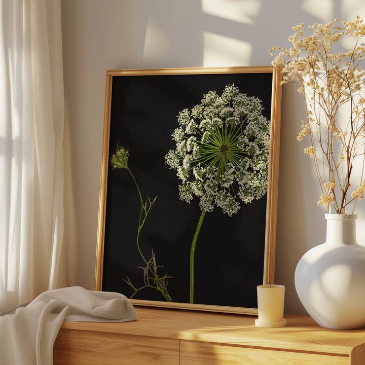 Hope Steinle Pressed Flower Art - Wholesale Art Print - Pressed Flower Art Print - Queen Anne's Lace