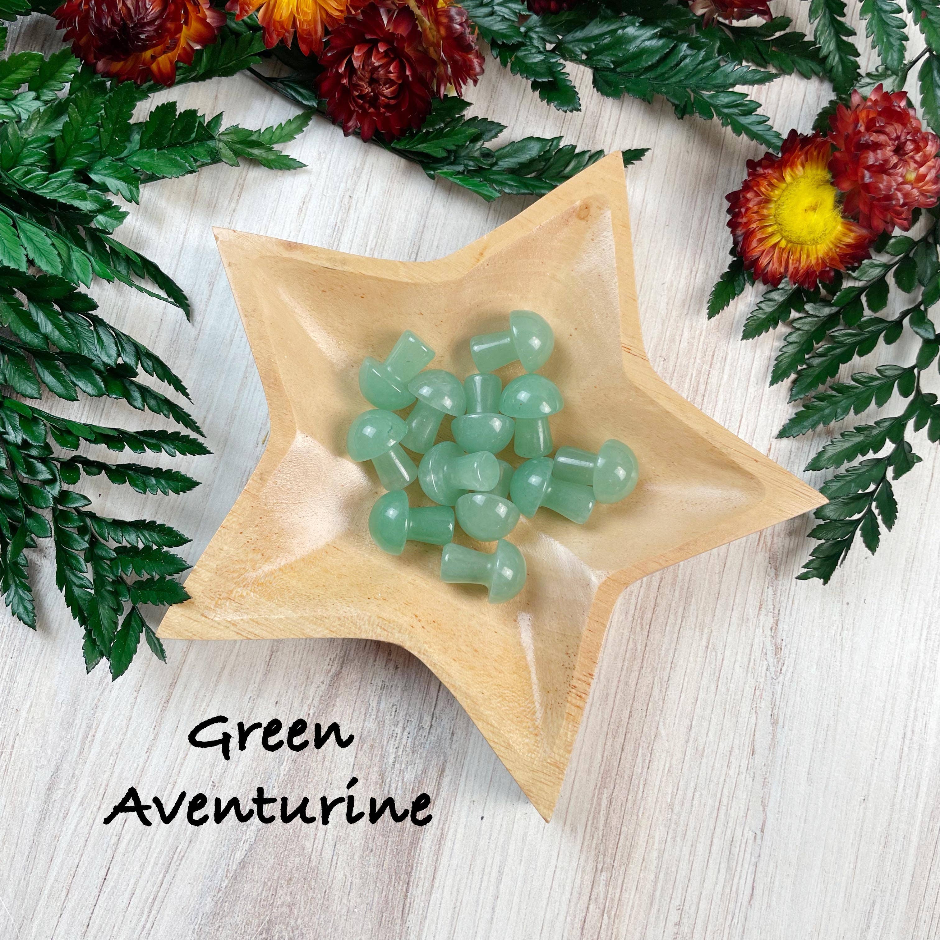 Ewelina Pas Jewelry - Wholesale Spiritual Stone/Crystal - MINI Gemstone Mushroom Pocket Stone20