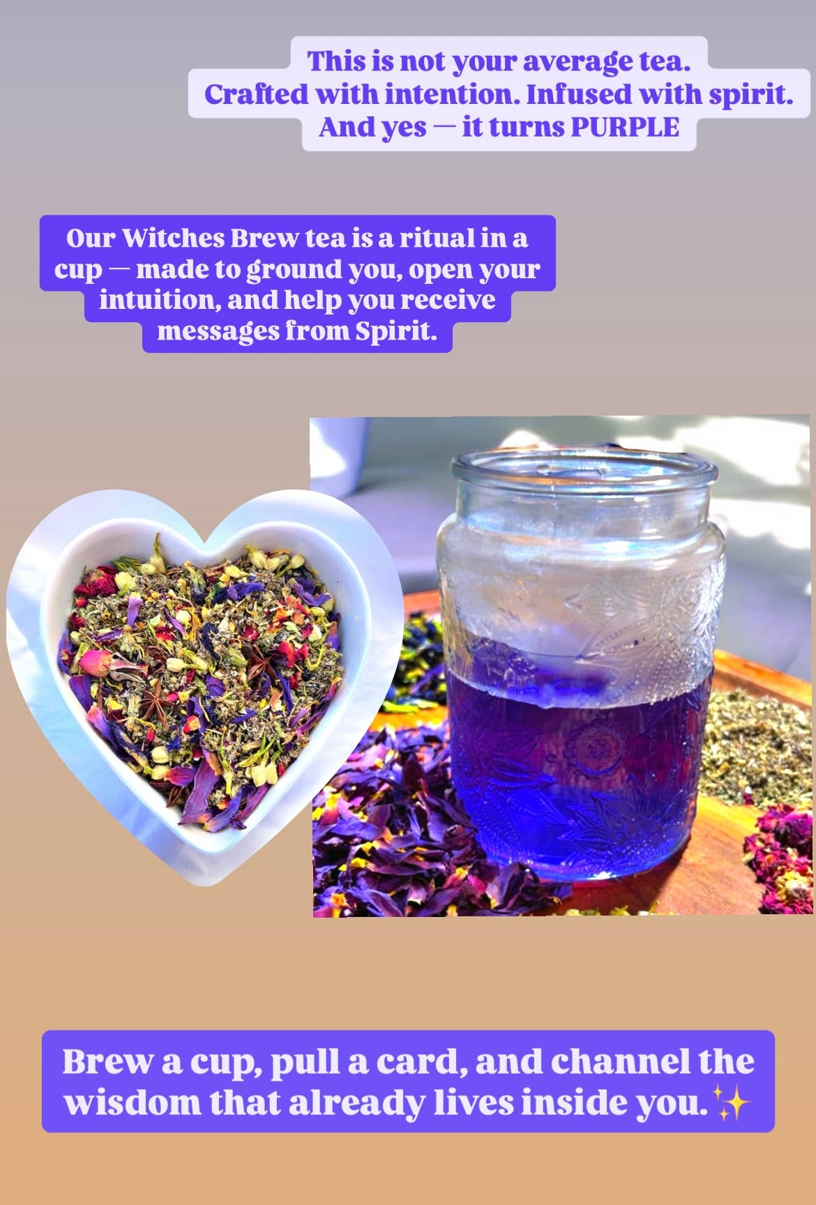 Mind Body Nirvana - Wholesale Loose Tea - Witches Brew Divination Tea2
