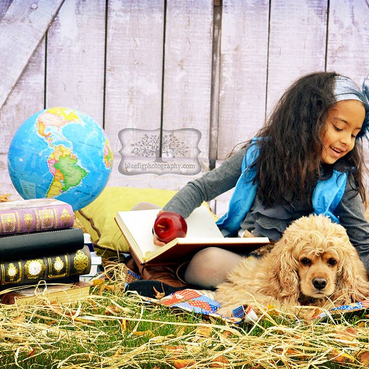 Portes lumineuses de grange de 9 pi x 7 pi /toile de fond en vinyle pour la vente par Swanky Prints