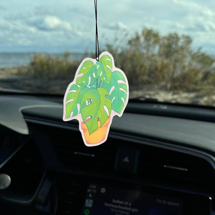 airWheres - Wholesale Car Freshener - Women's - Car Air Freshener Set House Plants Lover Gift Birthday7