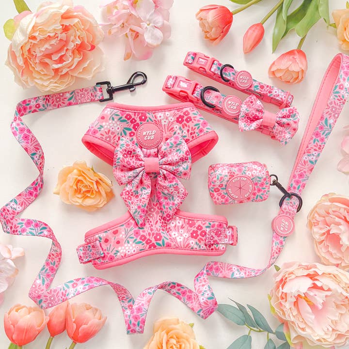 WYLD CUB - Wholesale Pet Harness - Dog - Adjustable Dog Harness: Notting Hill Rosé4