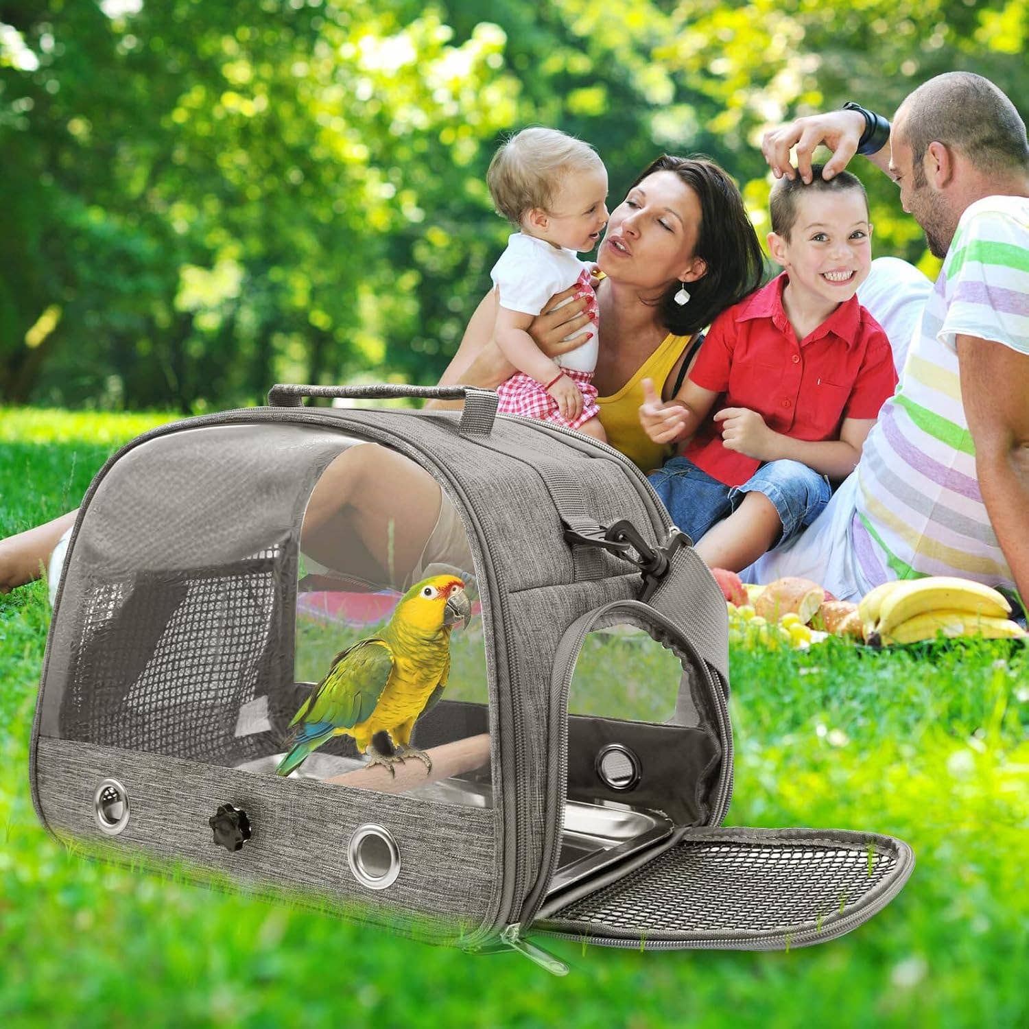 VIGOR - Wholesale Pet Carrier - Cat/Dog - Travel Carrier Bag Portable Bird Backpack with Plat4