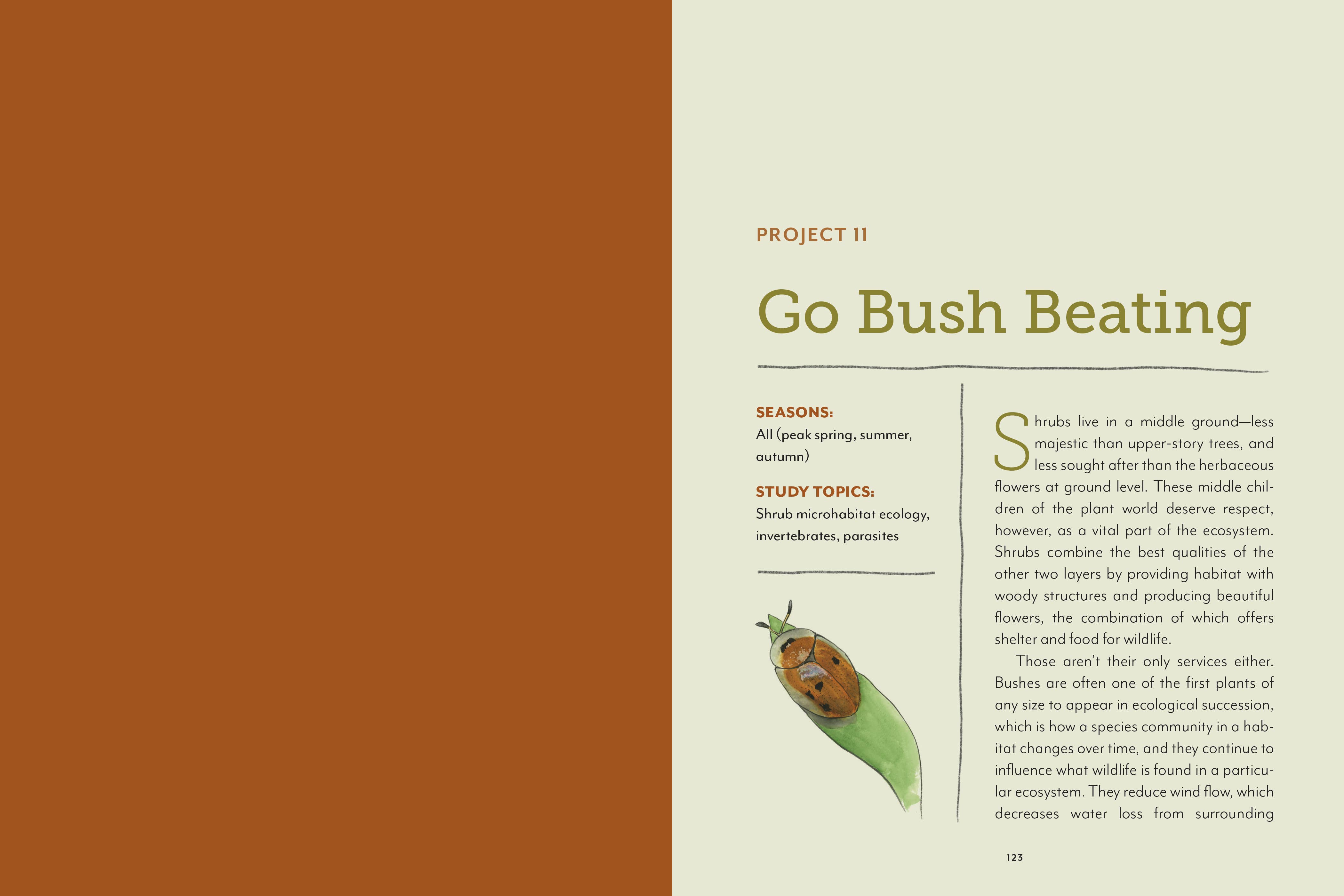 Mountaineers Books - Wholesale Nature & Outdoors Book - The Naturalist at Home4