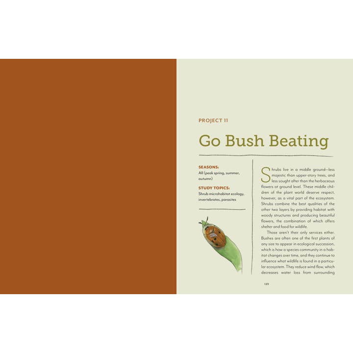 Mountaineers Books - Wholesale Nature & Outdoors Book - The Naturalist at Home4