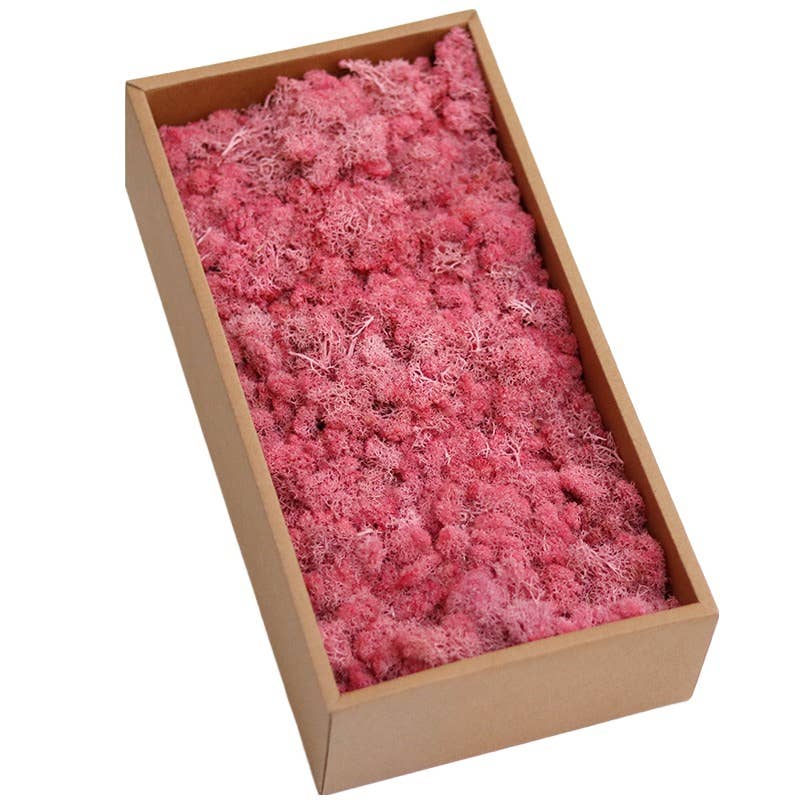 Floral Fields – wholesale Dried/pressed flowers – Preserved Moss for Crafting, 500g9