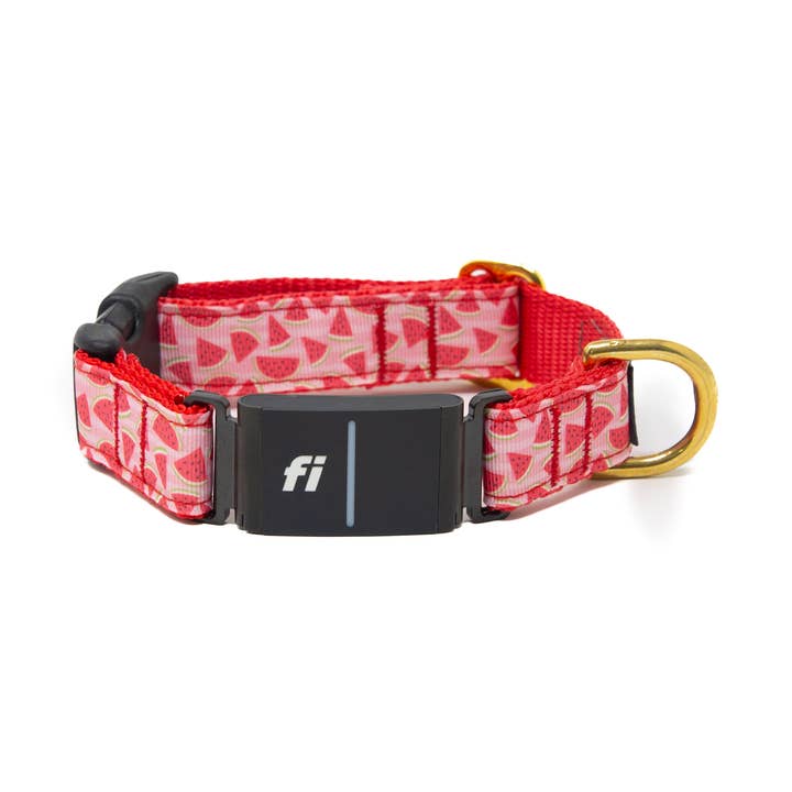 Fi Collar Band - Melon Magic for wholesale by LUCKY + DOG