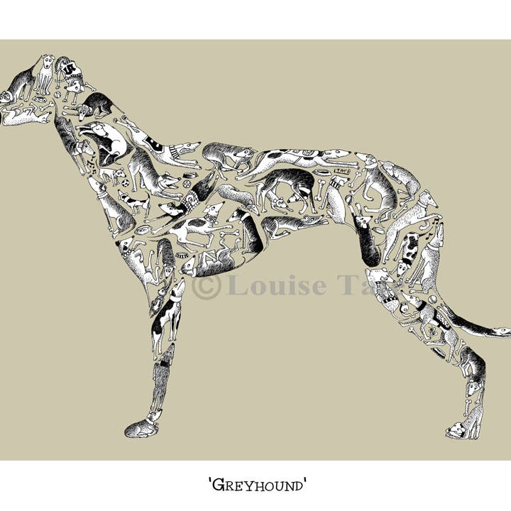 Greyhound for wholesale by Louise Tate Illustration