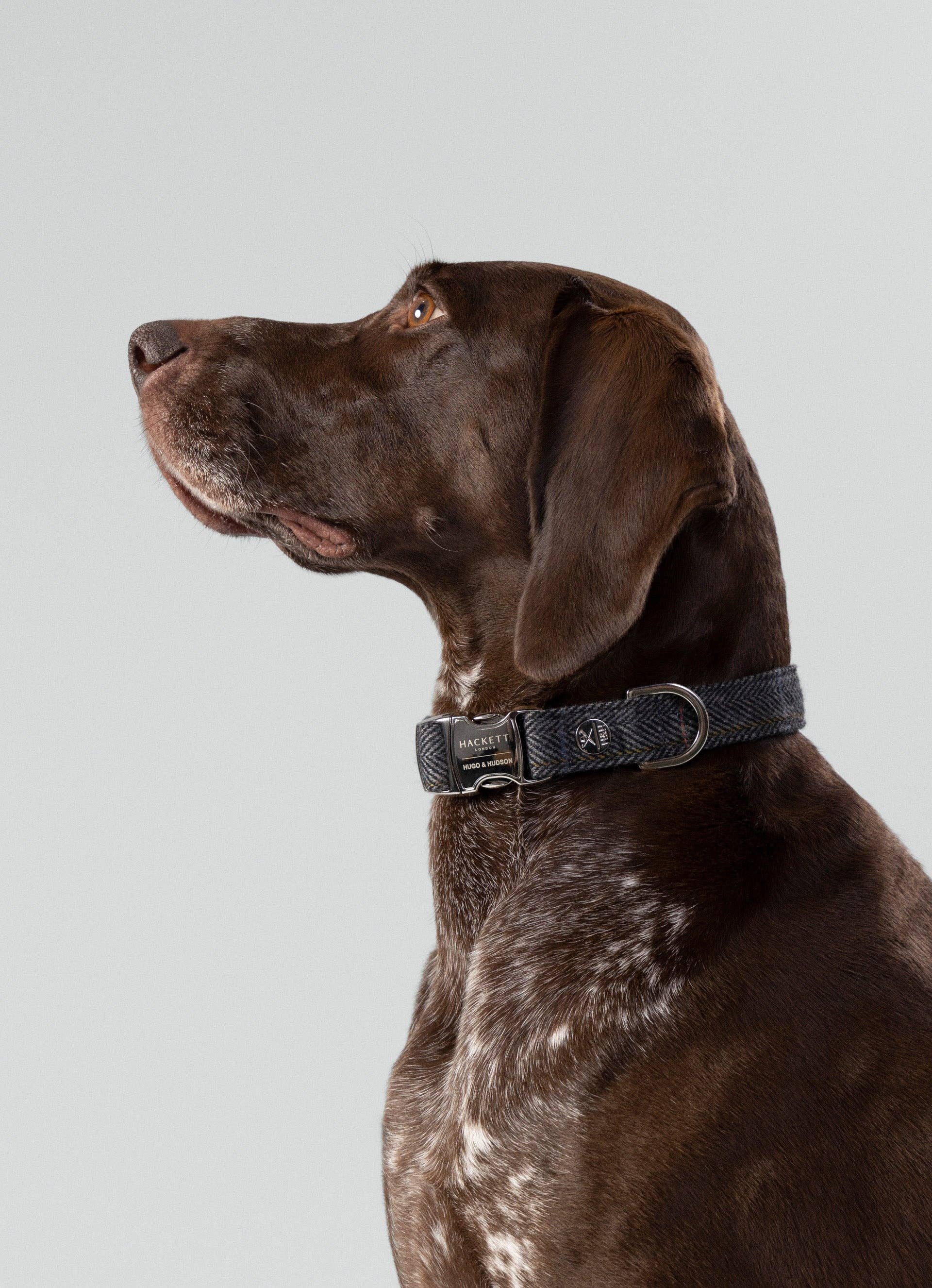 Hugo & Hudson – Großhandel Haustierhalsband – Hund – Hackett x Hugo Hudson Hundehalsband aus grauem kariertem Tweed1