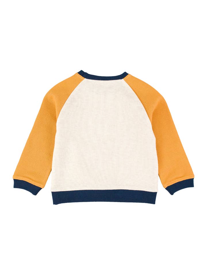 Giallo Felpa raglan in maglia a blocchi di colore Heather Oatmeal da ragazzo in vendita all'ingrosso su Faire