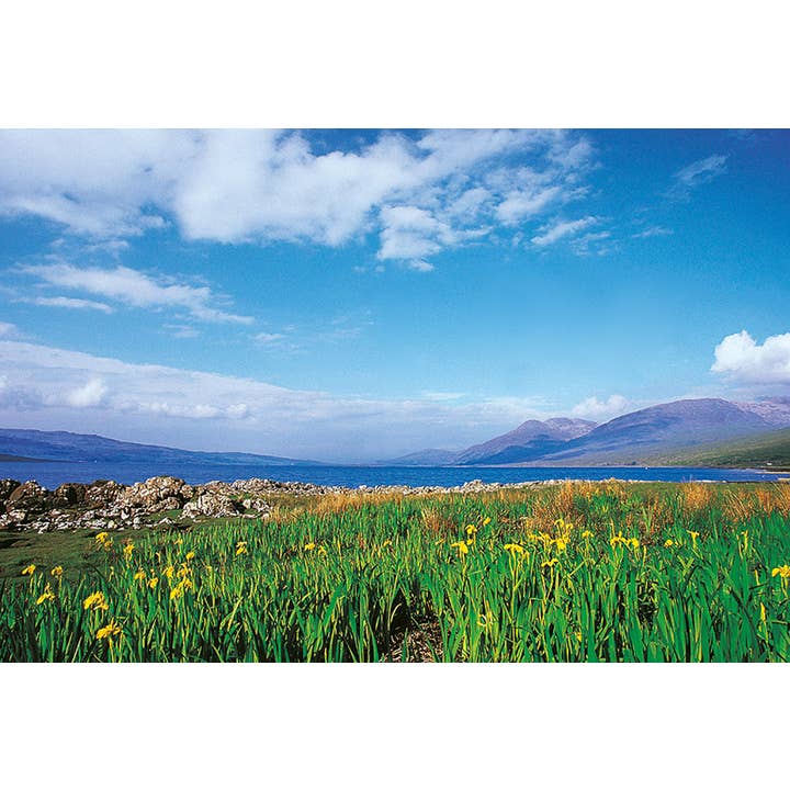Small Postcard Loch Na Keal for wholesale by Island Blue Publishing