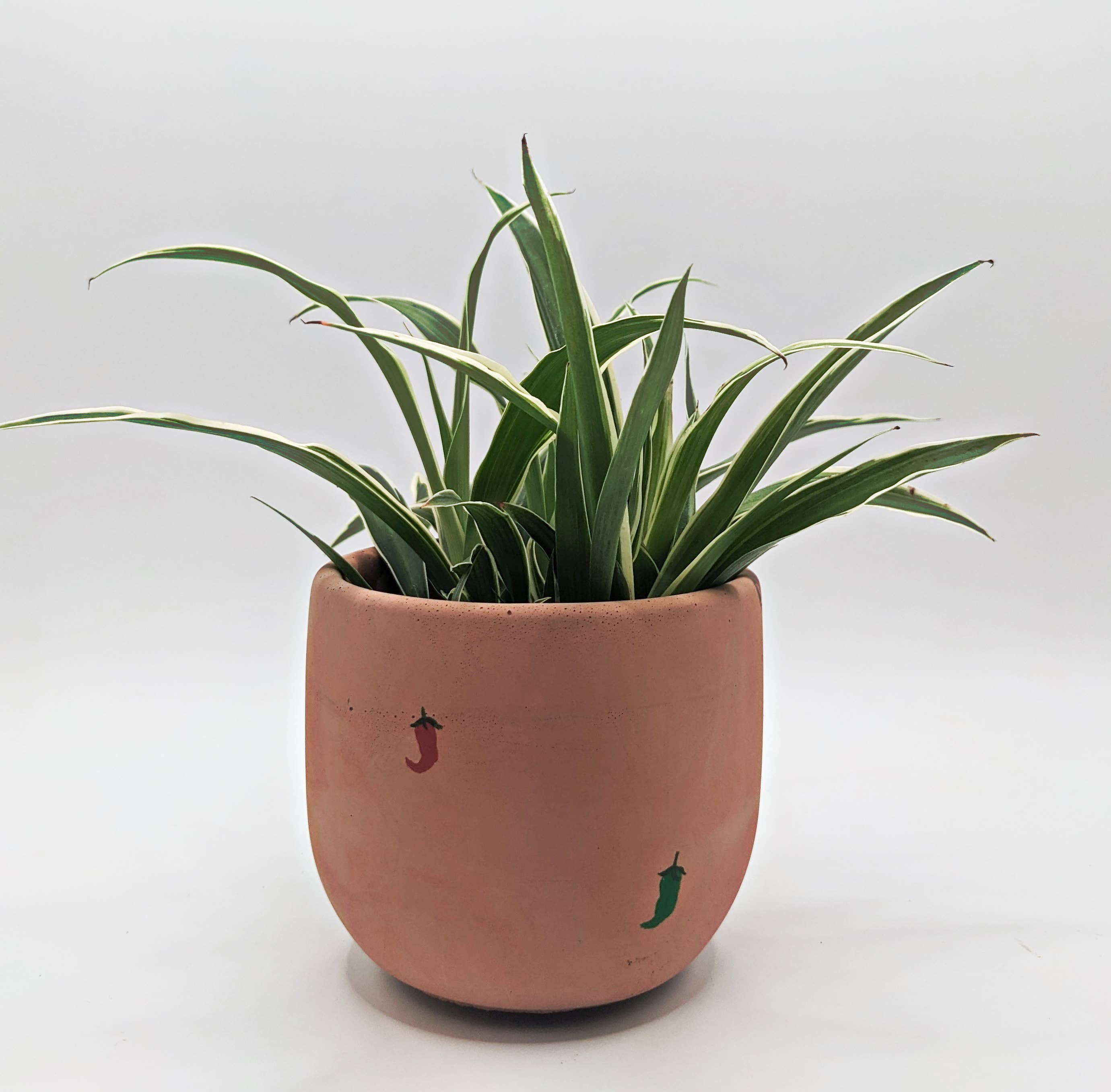 The Plant Supply - Wholesale Plant Pot - Concrete Planter - 4" | Plant Pot With Drainage Hole5