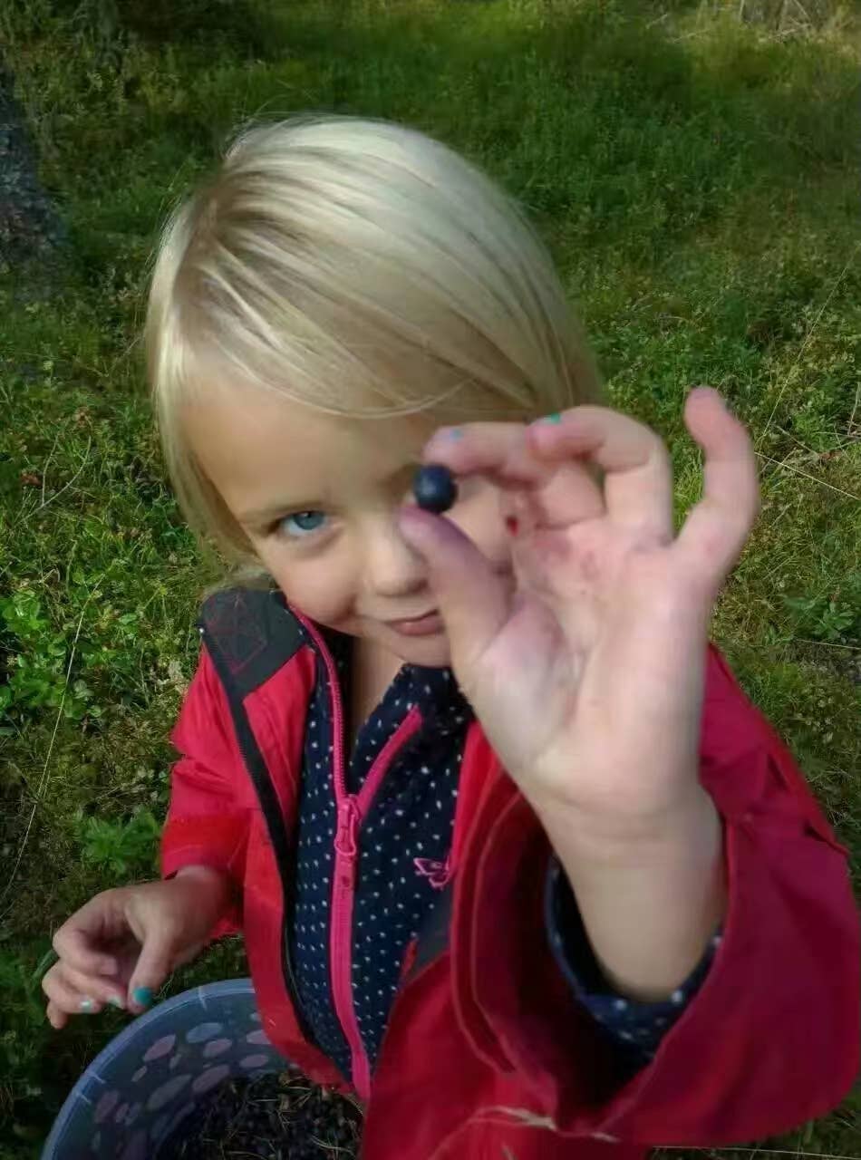 Nordic native pristine - Vente Supplément oral/vitamine - Méga vitamine pour les yeux à la myrtille6