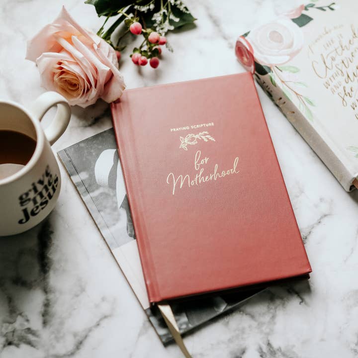 The Daily Grace Co - Wholesale Journal/Diary - Praying Scripture for Motherhood Journal
