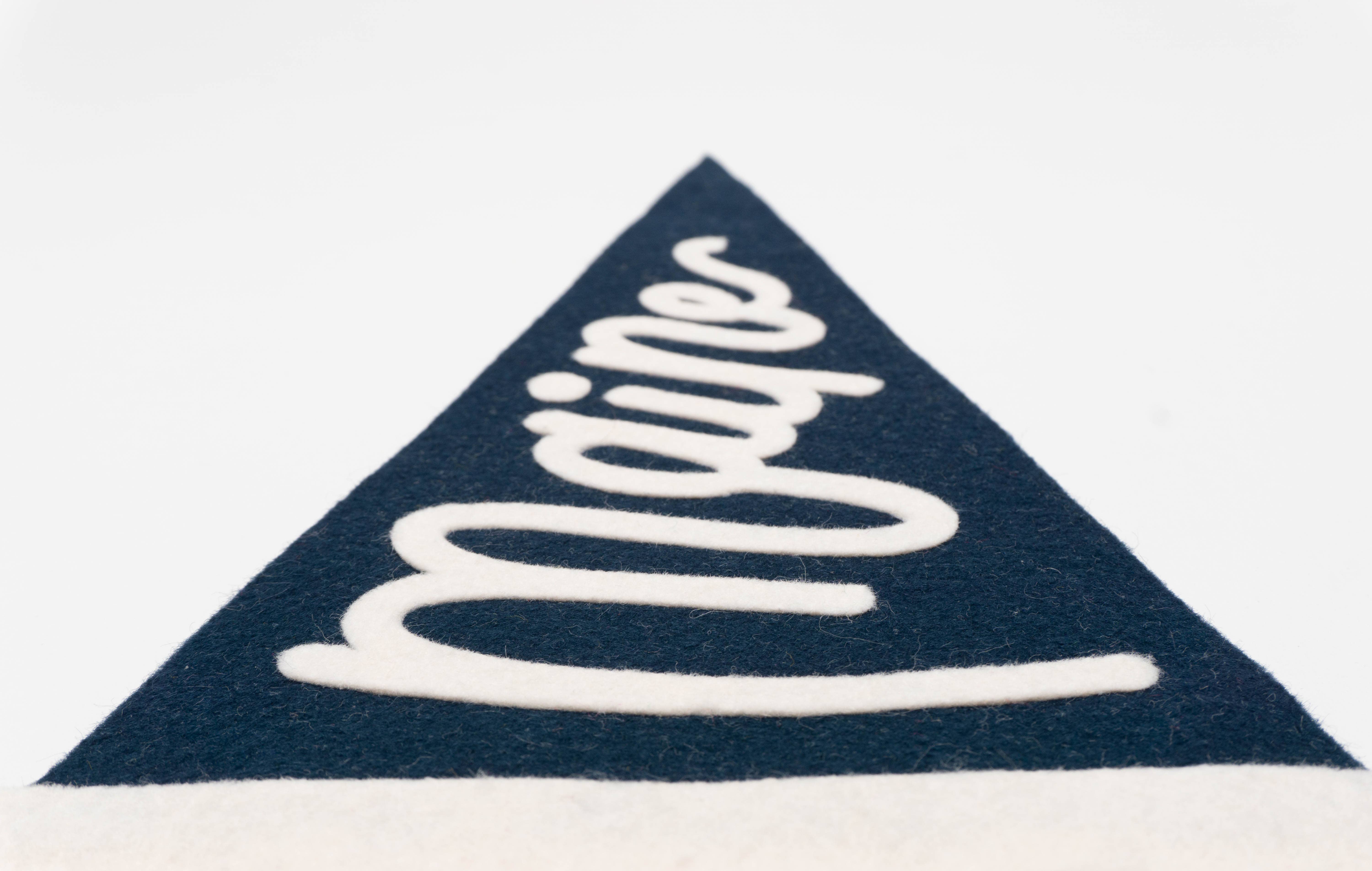 traveldashery - Wholesale Banner - maine pennant25