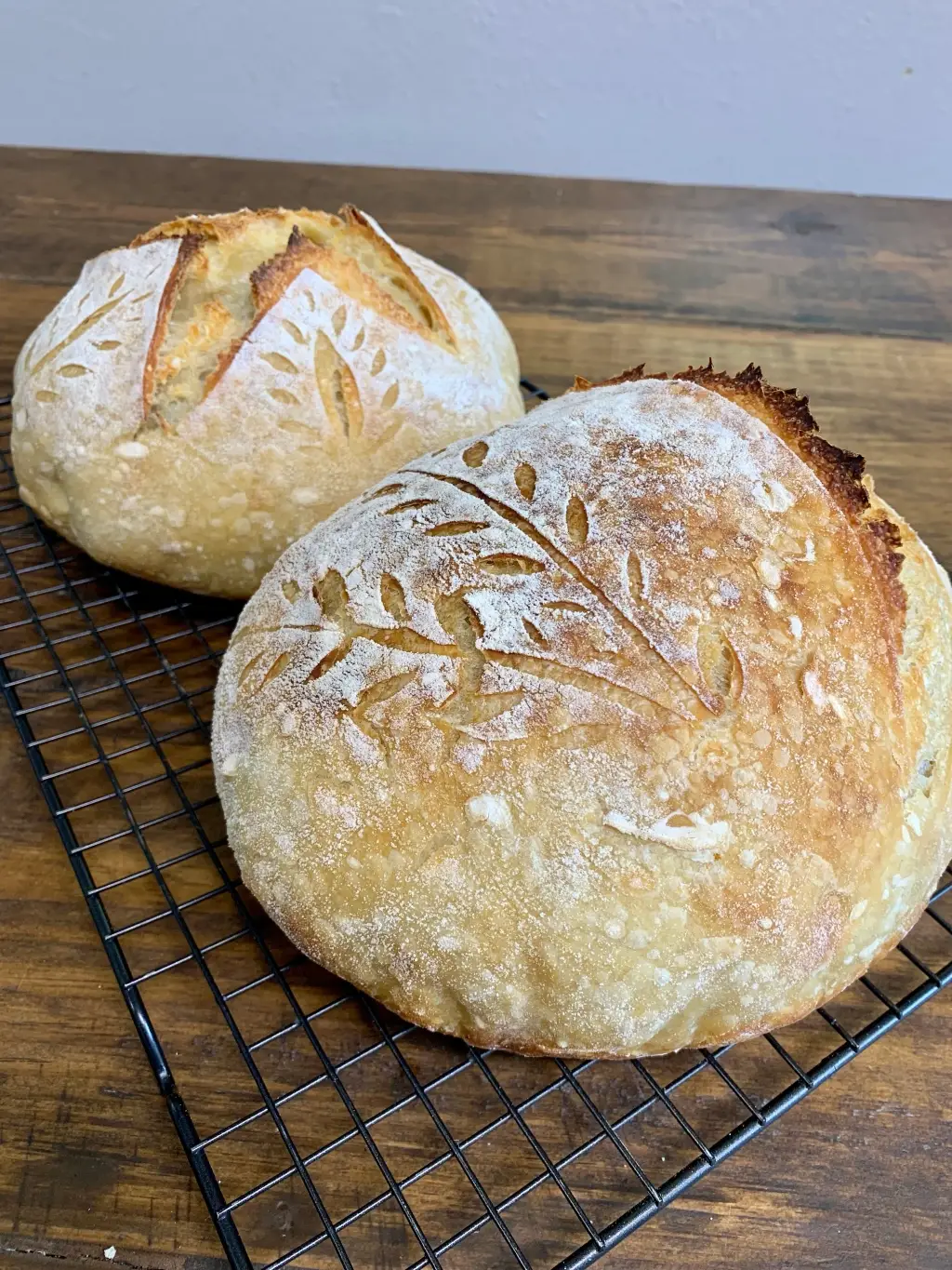 My Rustic Roots - Vente Mélange pour pain - Levain bio sans OGM | Lyophilisé | 12 g8