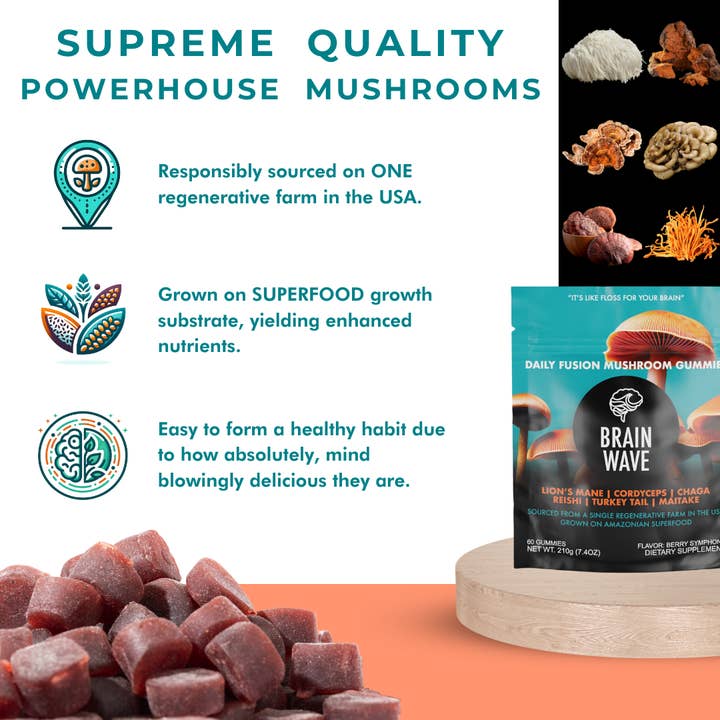 Brain Wave - Vente Supplément oral/vitamine - Gummies aux champignons superaliments4