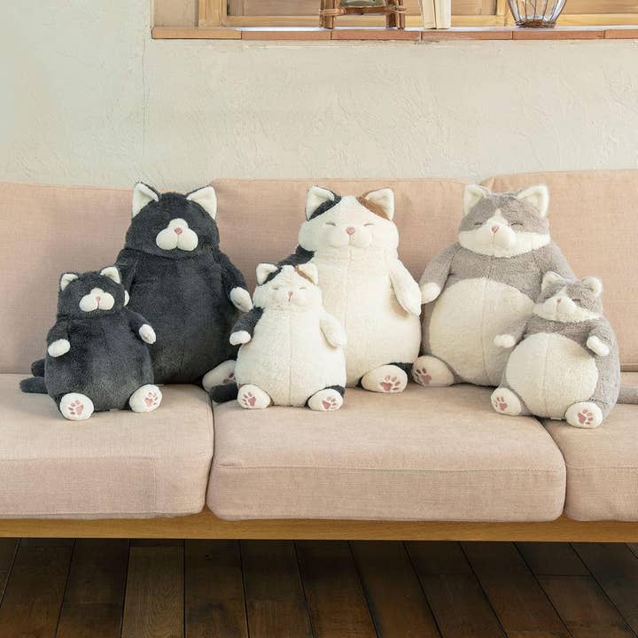 Greeting Life America - Vendita all'ingrosso Peluche - Bambini e neonati - Libuhao 27722-73 Cuscino avvolgente, Cat Positivity (M)