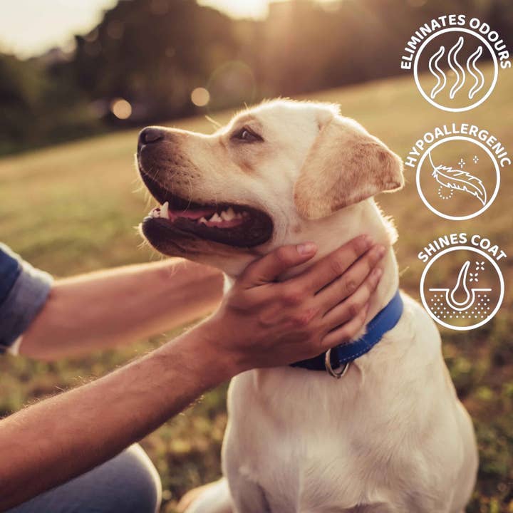 Tuff Pets – wholesale Pet grooming aid – Dog – Floofs Pet Wipes - For Cats & Dogs4