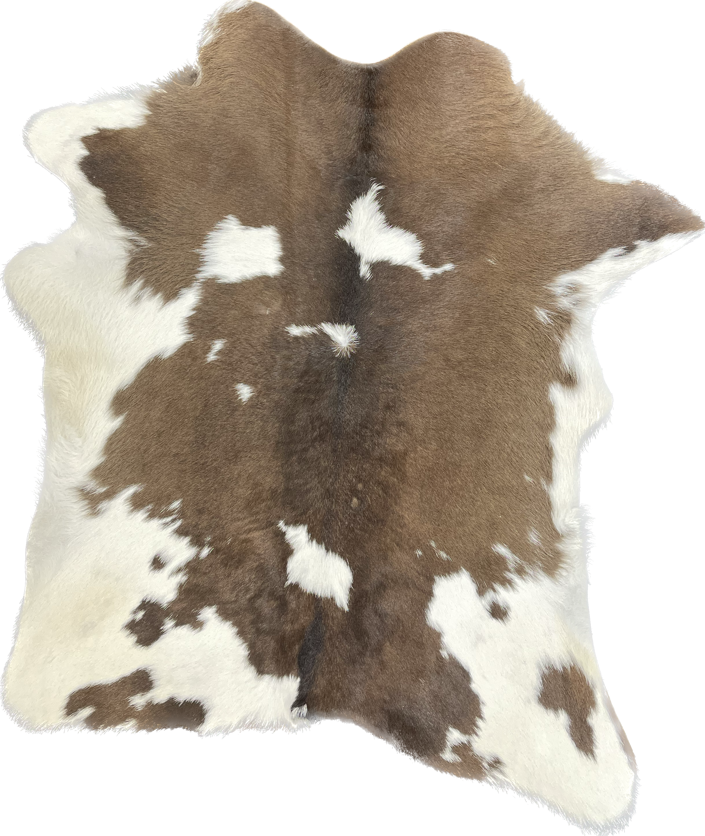 Chesterfield Leather – wholesale Matta – Brasilianskt kalvskinn med hår5