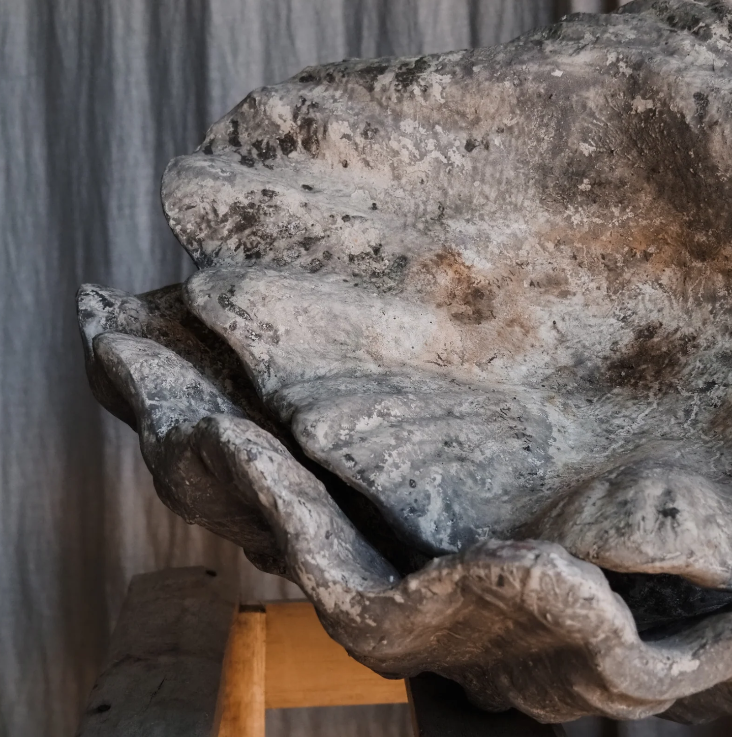 REMOVED BRAND - Wholesale Plant Pot - Vintage Terracotta shells 4