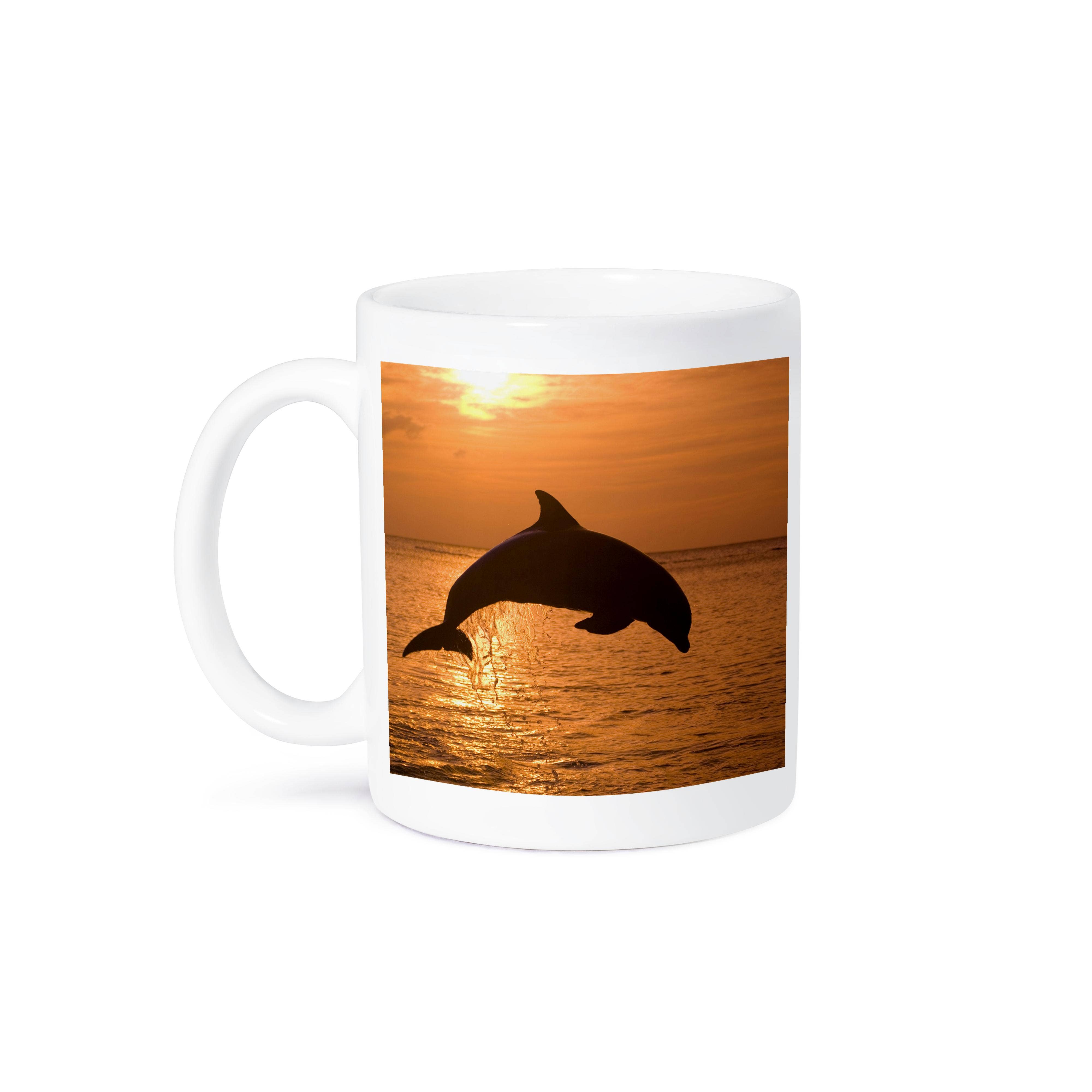 3dRose - Vente Tasse à café - 3dRose, Dauphins à gros nez, Roatan, Honduras - SA12 SWE0009 - Stuart Westmorland, Tasse8