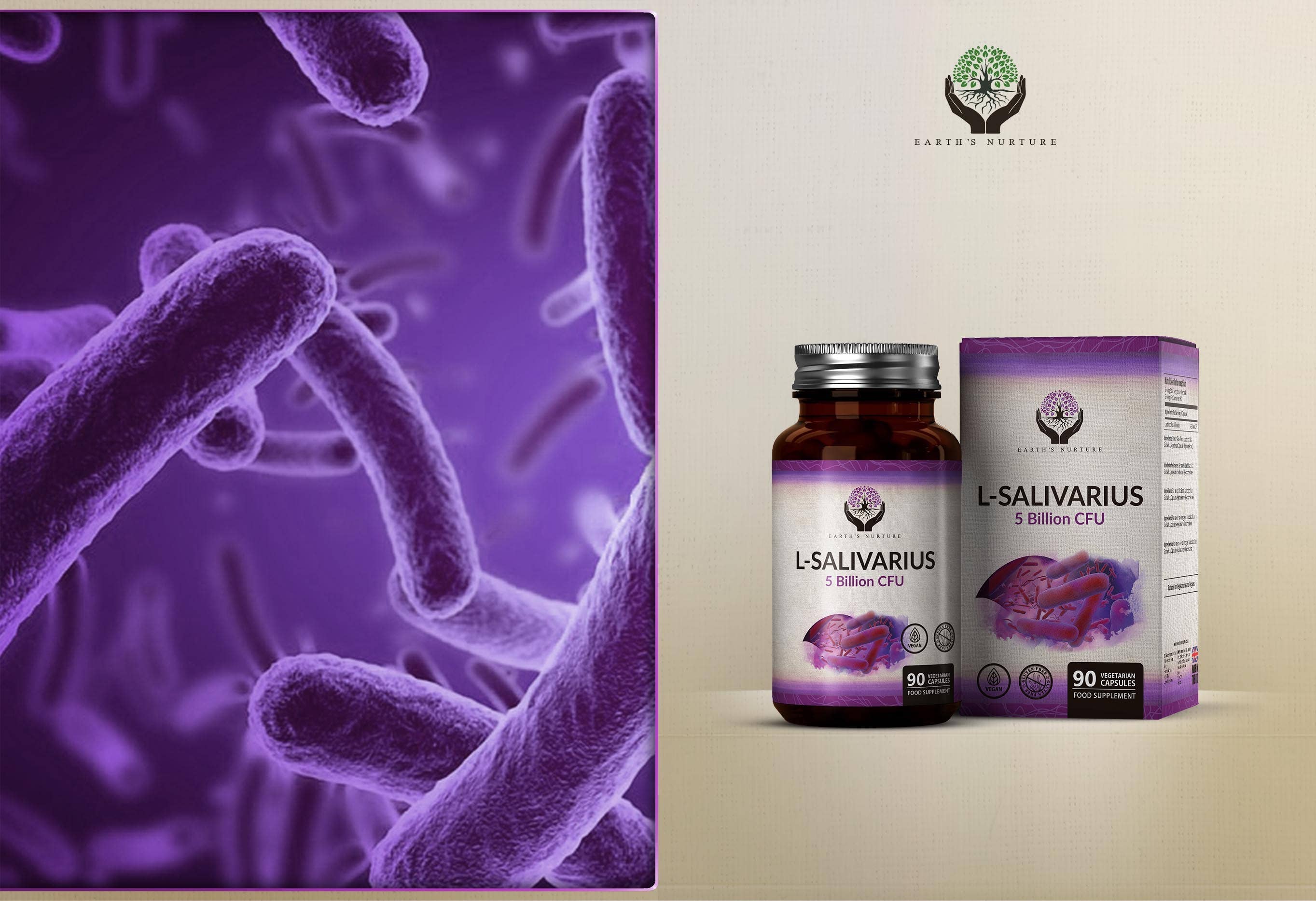 Focus Supplements - Vente Supplément oral/vitamine - Lactobacillus Salivarius (5 milliards d'UFC) 90 gélules4