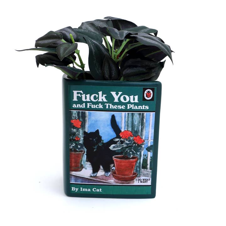 Lenny Mud - Wholesale Pen & Pencil Holder - Cats & Plants Book vase, decoupaged, pencil holder