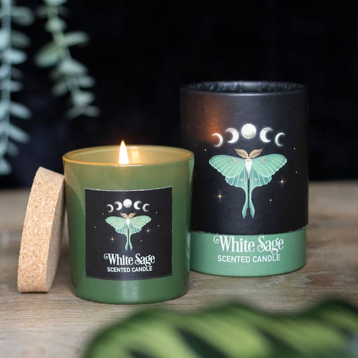 Pacific Trading - Wholesale Jar/Filled Candle - Dark Forest Luna Moth White Sage Candle4