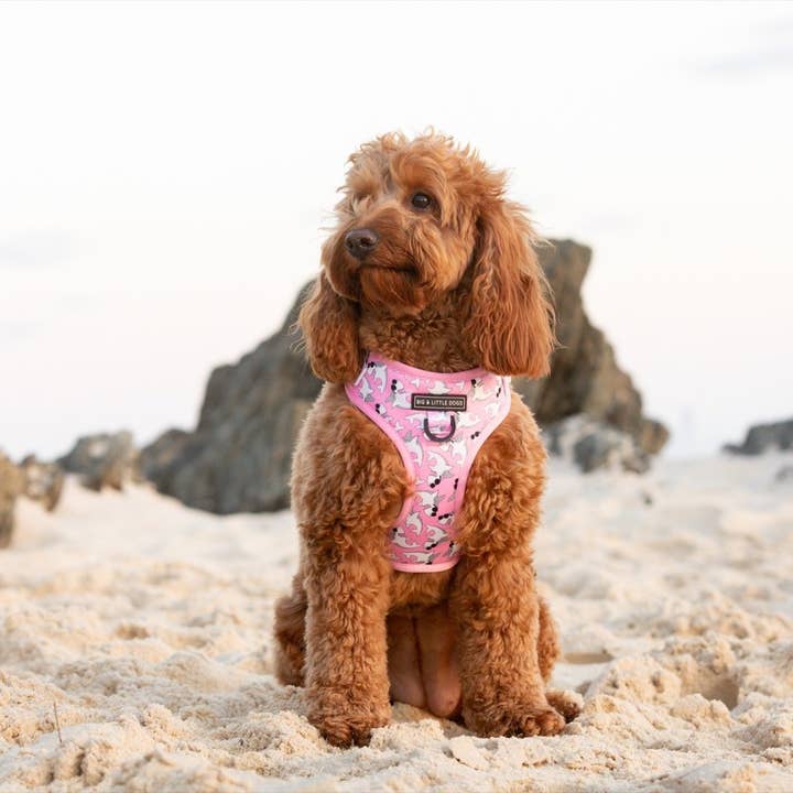 Big and Little Dogs - Wholesale Pet Harness - Dog - ADJUSTABLE DOG HARNESS: Bite Me (Pink Version) {DISCONTINUED}