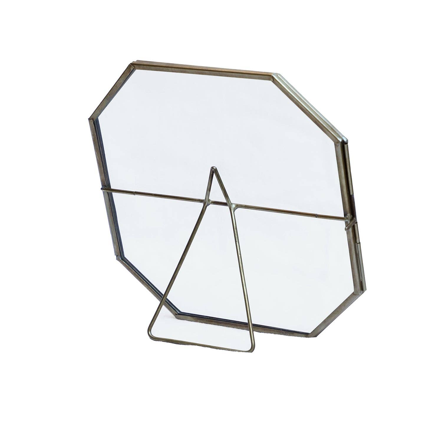 Blue Ocean Traders - Wholesale Picture Frame - Botanist Display Large3