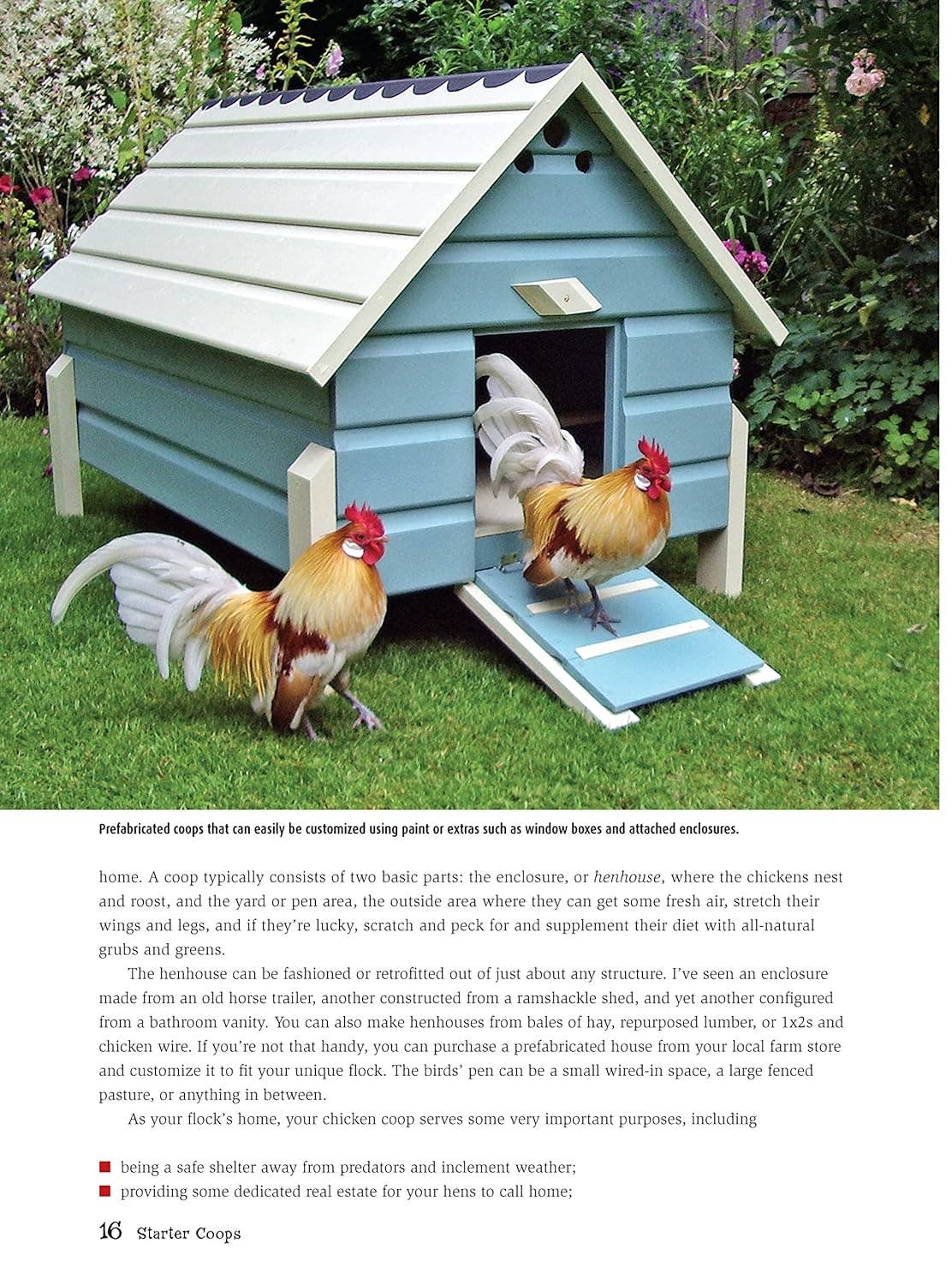 Fox Chapel Publishing - Wholesale Pet  Book - Starter Coops - For Your Chickens First Home2
