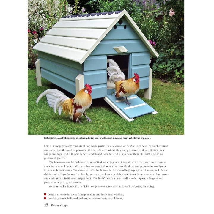 Fox Chapel Publishing - Wholesale Pets - Starter Coops - For Your Chickens First Home2
