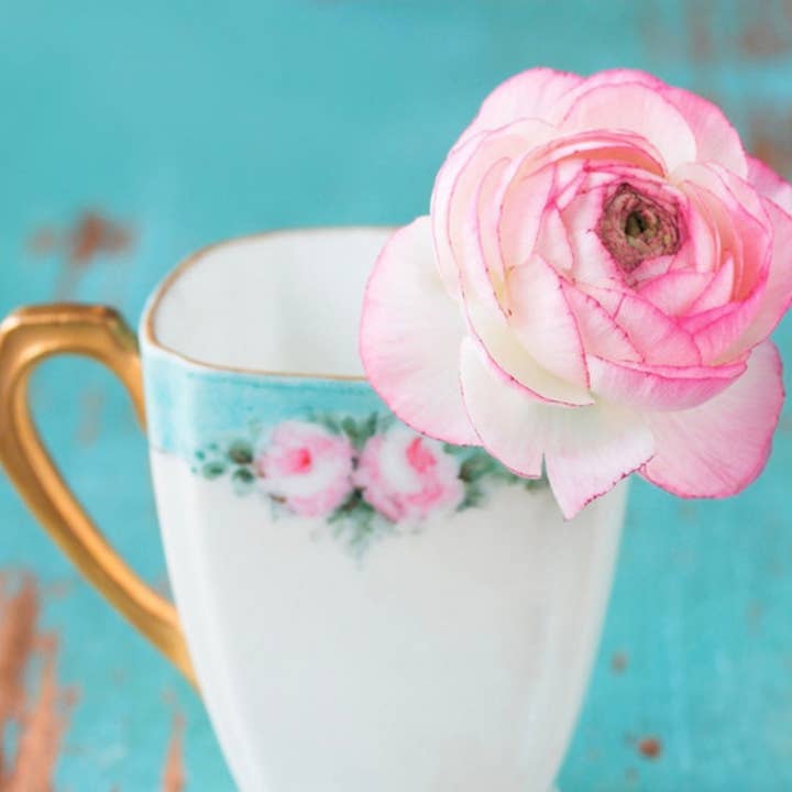 Crooked Creek Candle Co - Wholesale Jar/Filled Candle - Grace 1