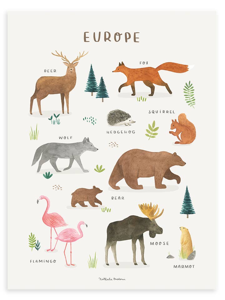 LIVING EARTH - Europese dierenposter zonder kader (P0330) voor wholesale door LILIPINSO