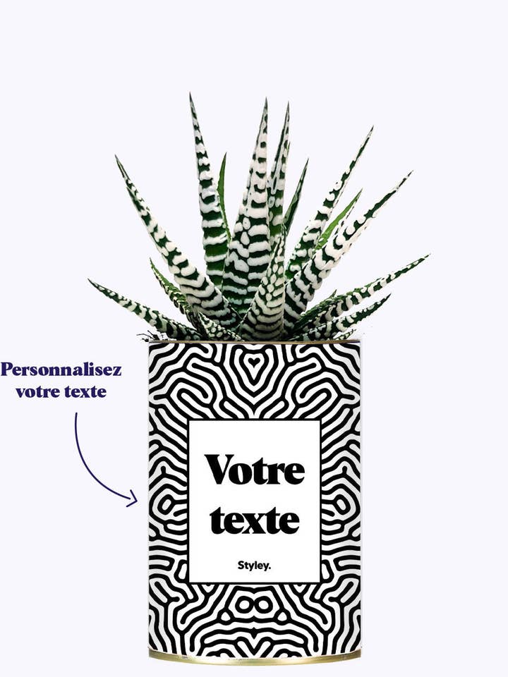 Cactus Sfumatura - Personalizzabile per la vendita all'ingrosso da parte di Styley