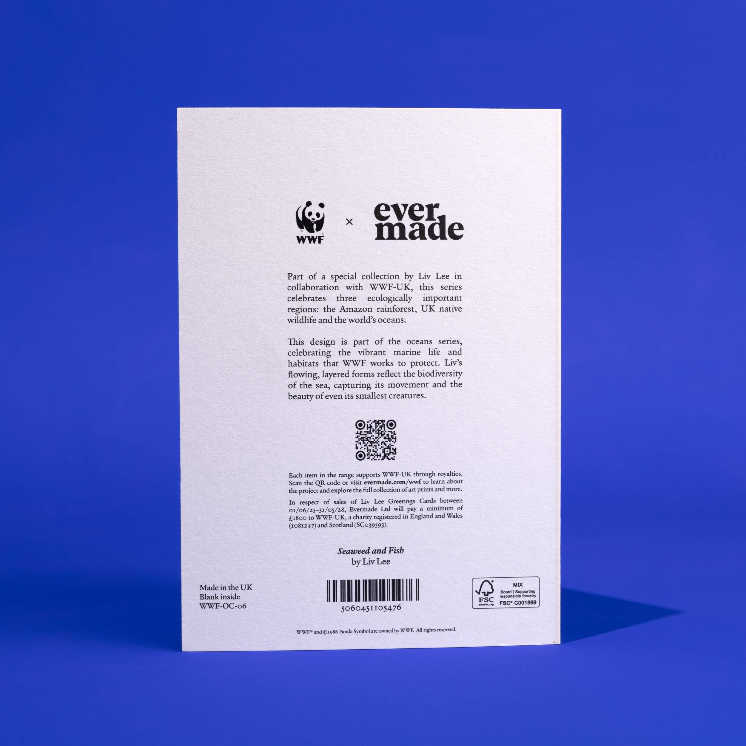 Evermade - Wholesale Everyday Greeting Card - Kelp and Seagrass WWF Greetings Card2