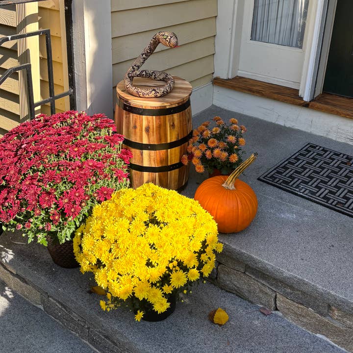 WORTH IMPORTS - Wholesale Outdoor Ornament/Decor - 71" Bendable Cobra Snake1