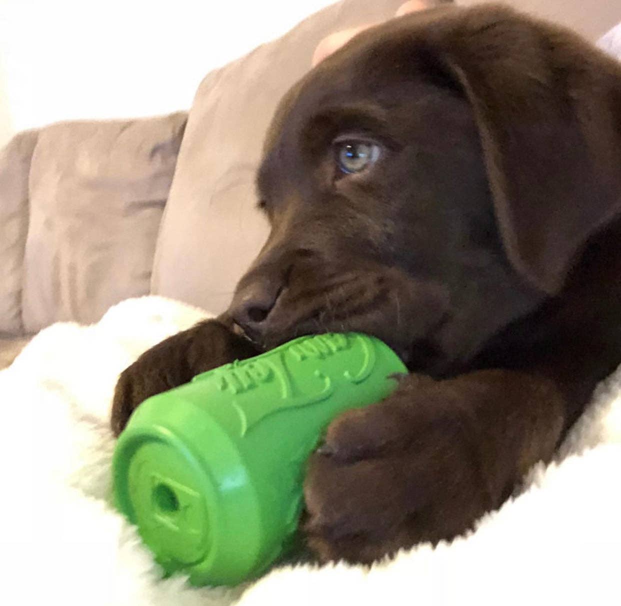 Rover Pet Products - Vente Jouet à mâcher – chien - Canette Toy9