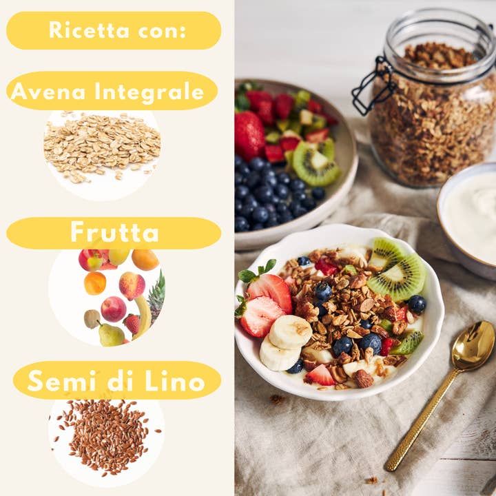 Mimina Granola - Wholesale Granola - Granola Tutti Frutti 240g2