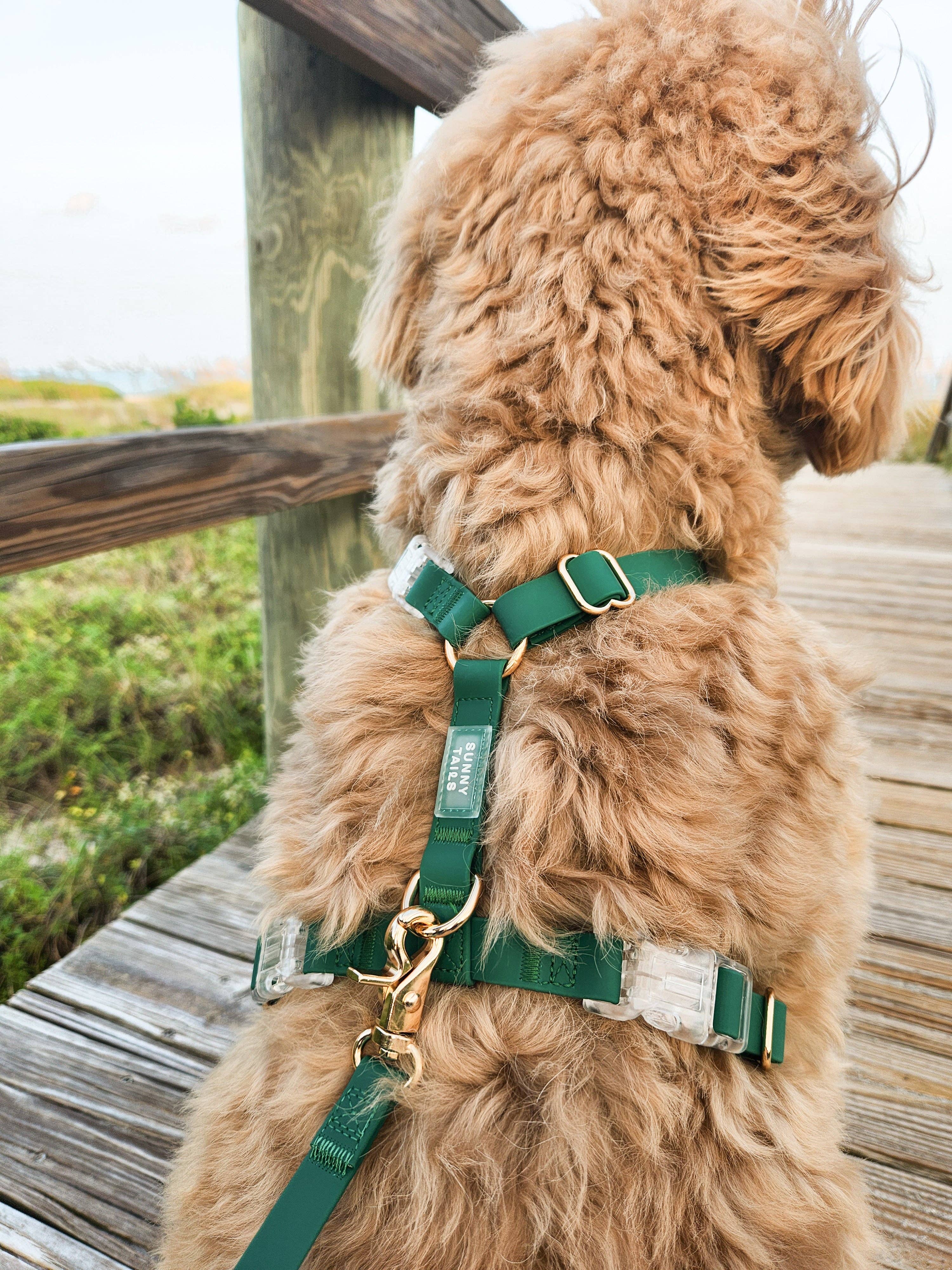 SUNNY TAILS - Wholesale Pet Harness - Dog - Meadow Green Cloud Lite Dog Harness15