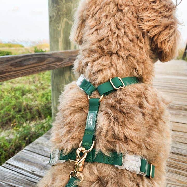 SUNNY TAILS - Wholesale Pet Harness - Dog - Meadow Green Cloud Lite Dog Harness15