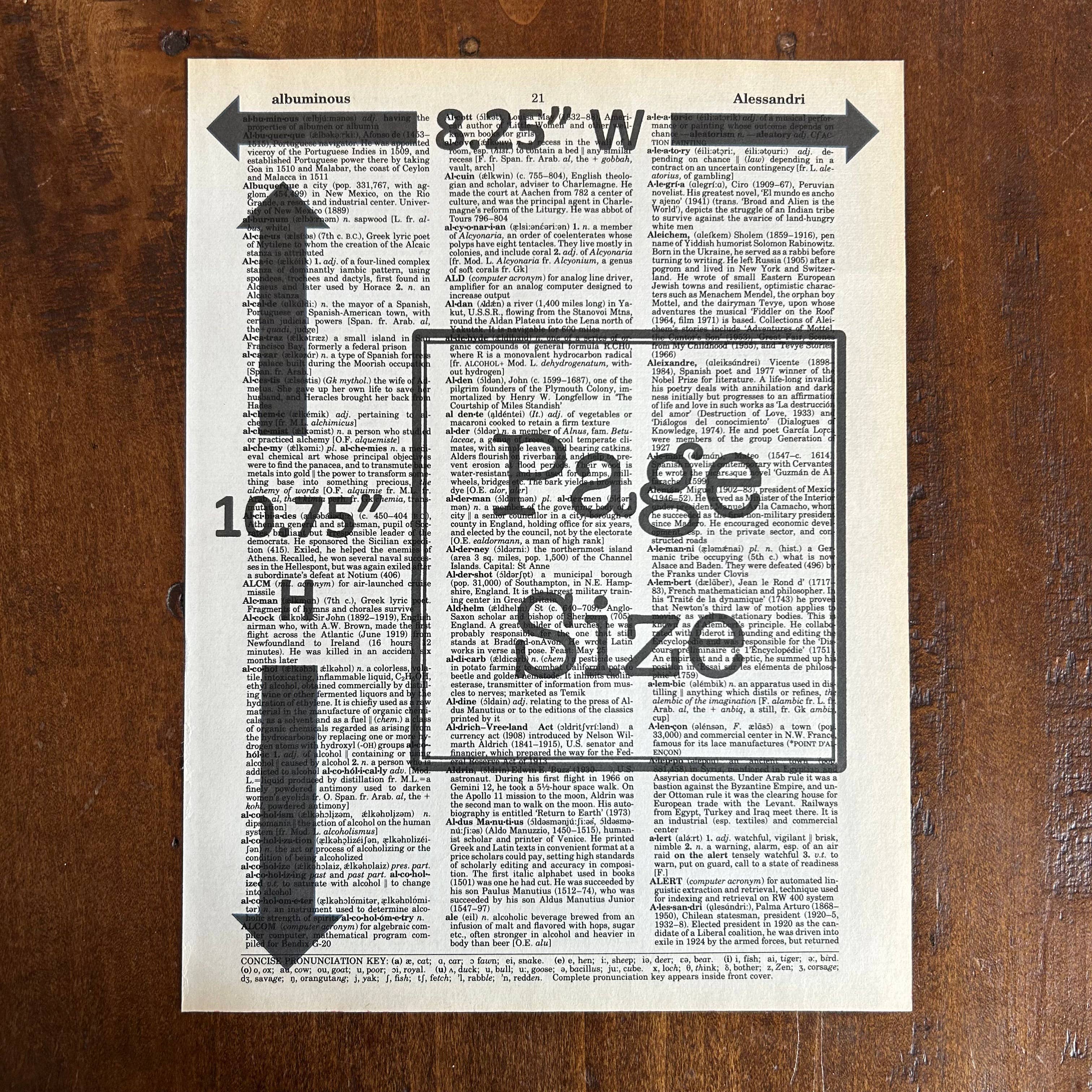 Bookish Birds - Wholesale Art Print - Love is Love | Dictionary Print | Vintage Book Art4