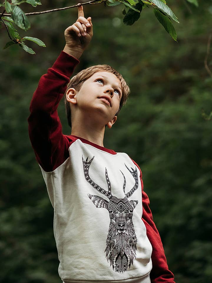 Sudadera infantil The Stag Contrast Raglan para venta al por mayor de Illustrate